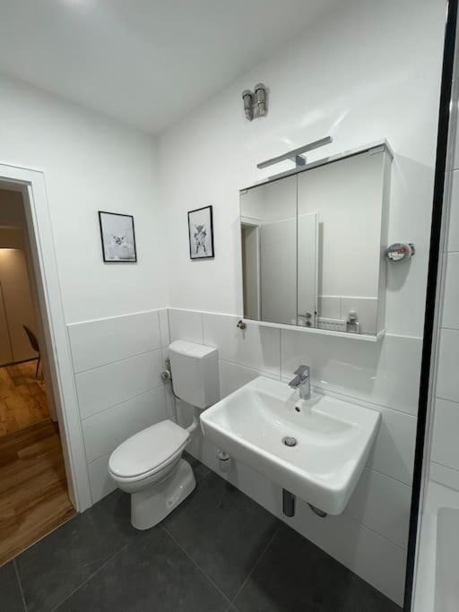 Penthouse, Offenburg,Europapark Apartamento Exterior foto